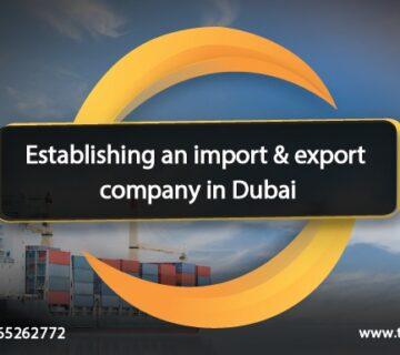 Establishing an import and export company in Dubai